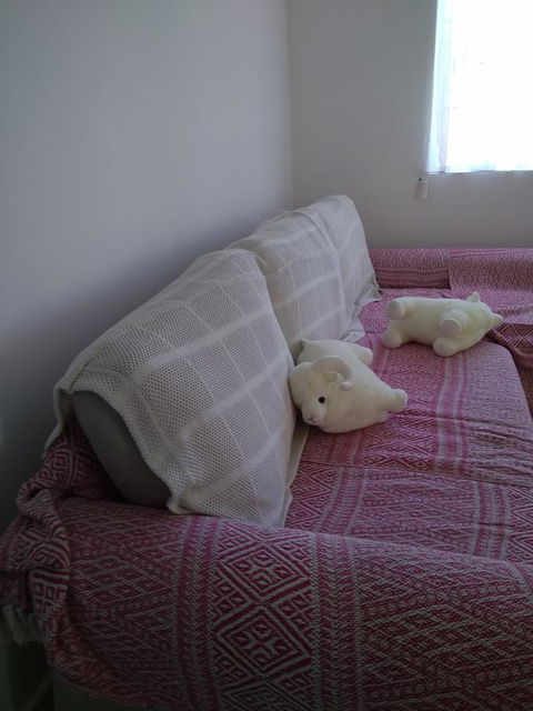 DIANELLA Budget Rooms Happy Place To Stay - Nambucca Heads Accommodation 29