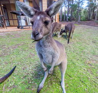 Yelverton Brook Eco Spa Retreat  Conservation Sanctuary - Nambucca Heads Accommodation