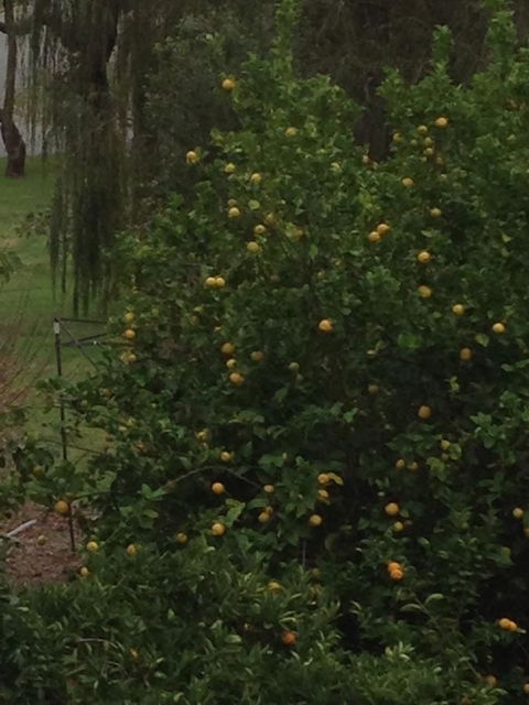 Bright & Beautiful Home On The Hills! - Nambucca Heads Accommodation 34