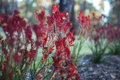 Amaroo Retreat & Spa - Nambucca Heads Accommodation 16