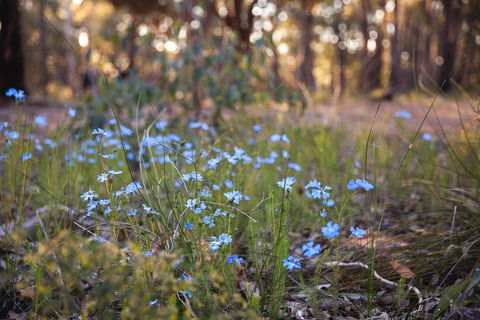 Amaroo Retreat & Spa - Nambucca Heads Accommodation 15