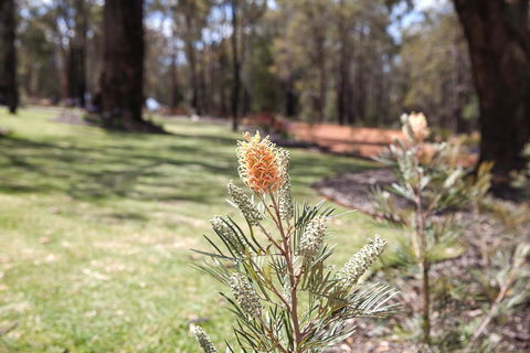 Amaroo Retreat & Spa - Nambucca Heads Accommodation 19