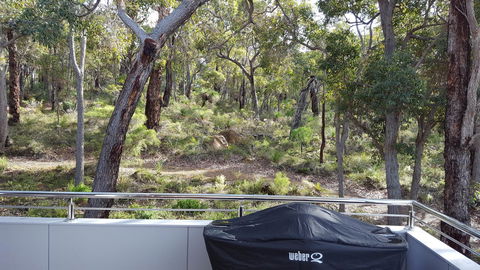 Cape Villas - Nambucca Heads Accommodation 5