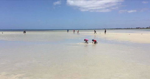 Beach House Dunsborough - Nambucca Heads Accommodation 22