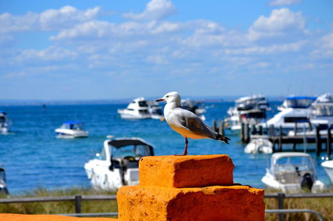 Palms Bed & Breakfast - Nambucca Heads Accommodation 25