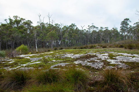 Denmark Forest Retreat - Nambucca Heads Accommodation 26