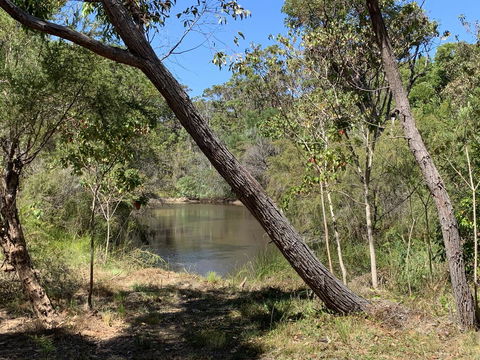 Denmark Forest Retreat - Nambucca Heads Accommodation 32