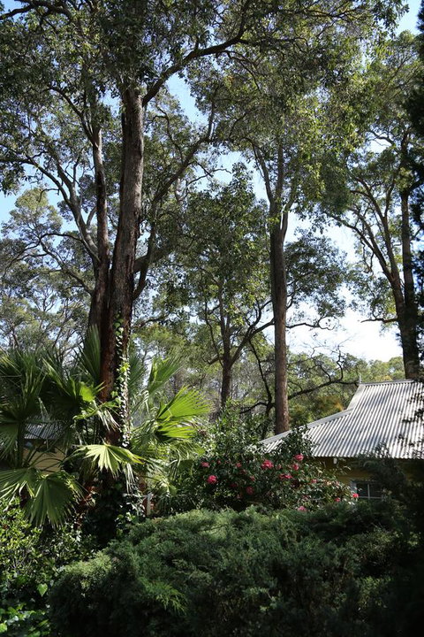 Two Sisters Chalets - Nambucca Heads Accommodation 33