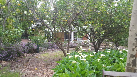 Two Sisters Chalets - Nambucca Heads Accommodation 15