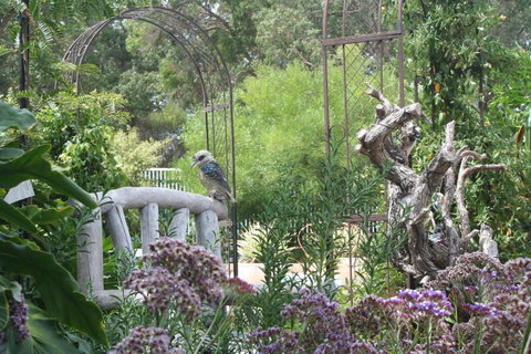 Rosebridge House Bed & Breakfast Adult Retreat - Nambucca Heads Accommodation 12