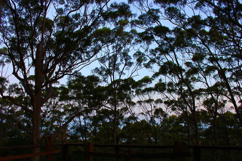 Ark Of Denmark - Nambucca Heads Accommodation 27