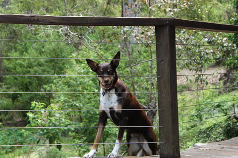 Ark Of Denmark - Nambucca Heads Accommodation 10