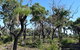 Eagle Bay House - thumb 33