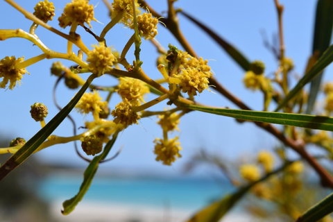 Eagle Bay House - Nambucca Heads Accommodation 28