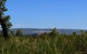 Eagle Bay House - thumb 4