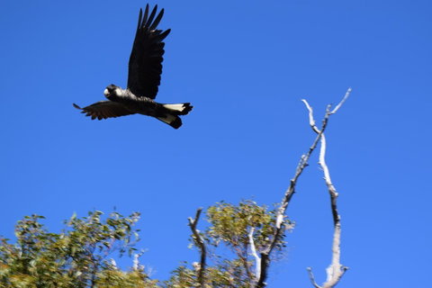 Eagle Bay House - Nambucca Heads Accommodation 8