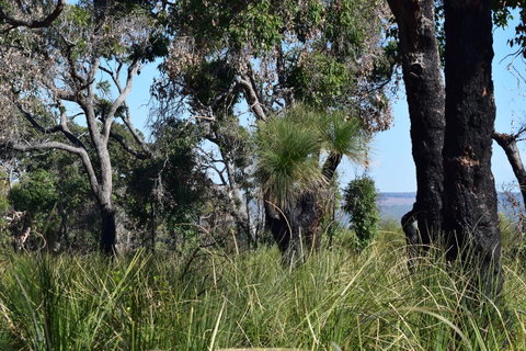 Eagle Bay House - Nambucca Heads Accommodation 32