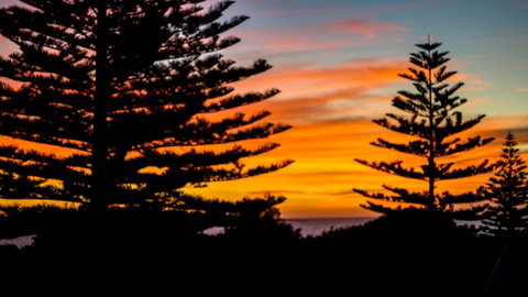 Mullaloo B & B - Nambucca Heads Accommodation 10