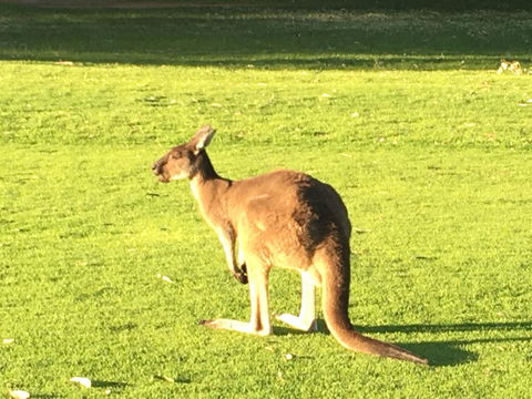 Aquatic Visions - Nambucca Heads Accommodation 41