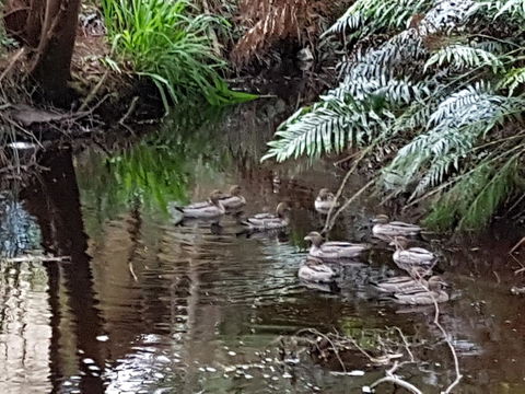 Strahan Retreat Holiday Park - Nambucca Heads Accommodation 24
