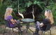 Strahan Retreat Holiday Park - thumb 34