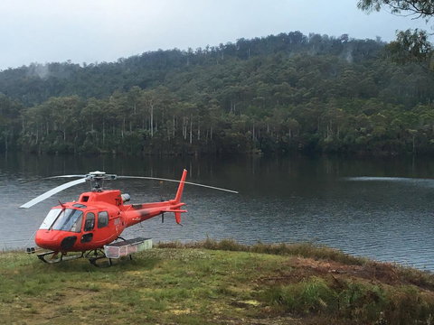 Tullah Lakeside Lodge - Nambucca Heads Accommodation 12
