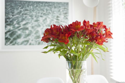 On The Beach Waterfront Apartment - Nambucca Heads Accommodation 0