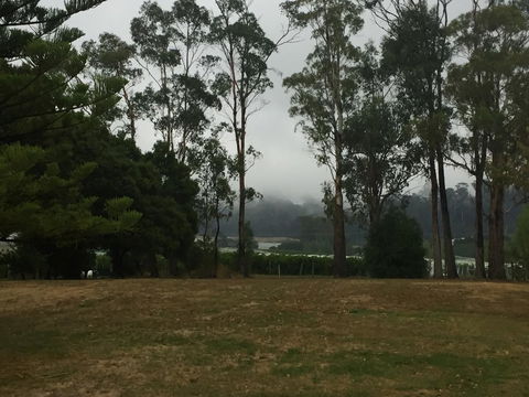 Amble\'a\'While On Tamar - Nambucca Heads Accommodation 39