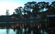 Driftwood - thumb 9