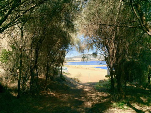 Manfield Seaside Bruny Island - Nambucca Heads Accommodation 32