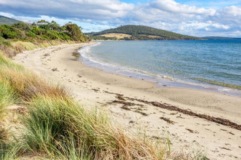 Omaroo Cottage Bruny Island - Nambucca Heads Accommodation 14
