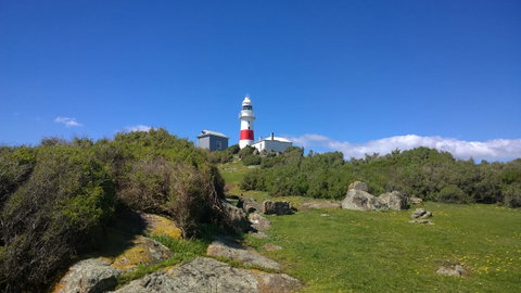 BIG4 Low Head Tourist Park - Nambucca Heads Accommodation 6