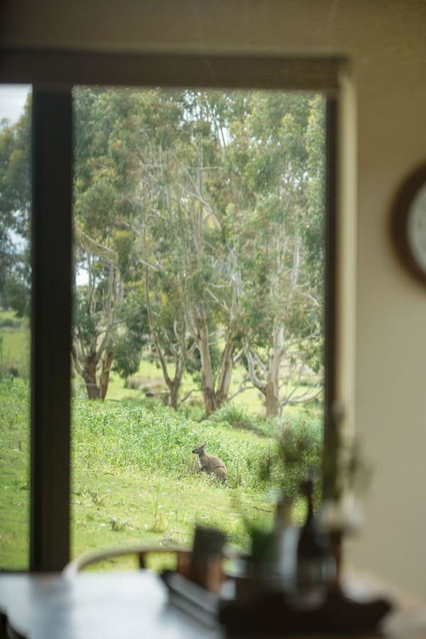 Adventure Bay Retreat Bruny Island - Nambucca Heads Accommodation 7