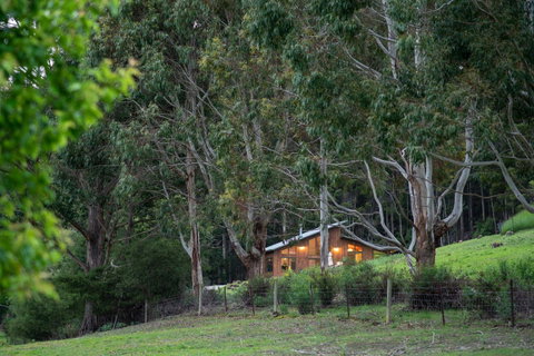Adventure Bay Retreat Bruny Island - Nambucca Heads Accommodation 24