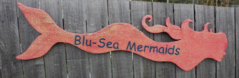 Mermaids Of Bicheno - Nambucca Heads Accommodation 16