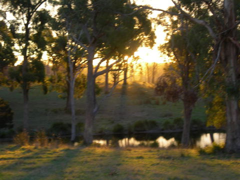 Platypus Park Country Retreat - Nambucca Heads Accommodation 30