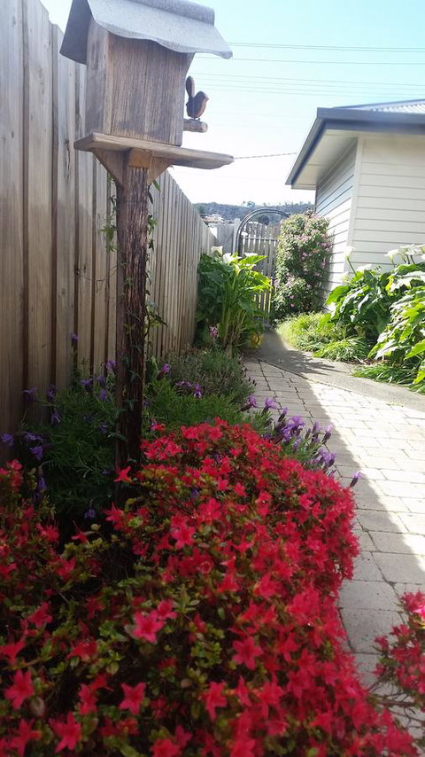 Driftwood-Cottage - Nambucca Heads Accommodation 16