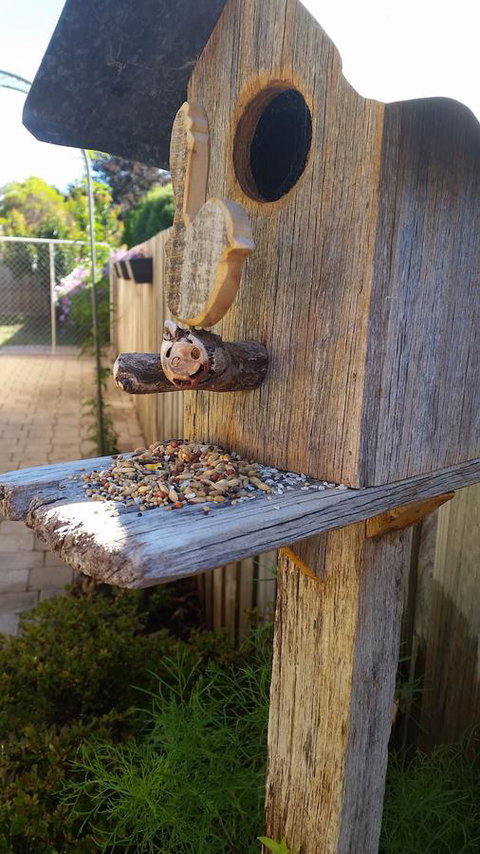 Driftwood-Cottage - Nambucca Heads Accommodation 29