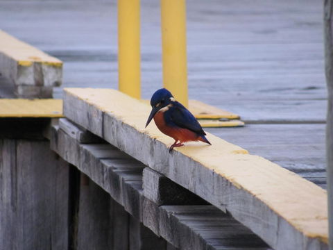 The Crays Accommodation - Nambucca Heads Accommodation 37