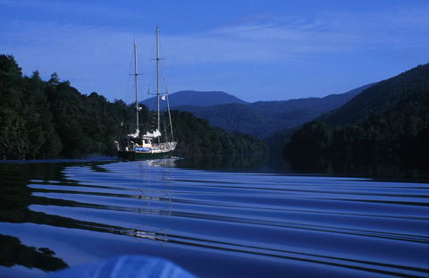 The Crays Accommodation - Nambucca Heads Accommodation 36