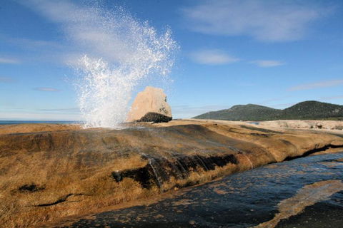 Suntrap Cove Bicheno - Nambucca Heads Accommodation 30