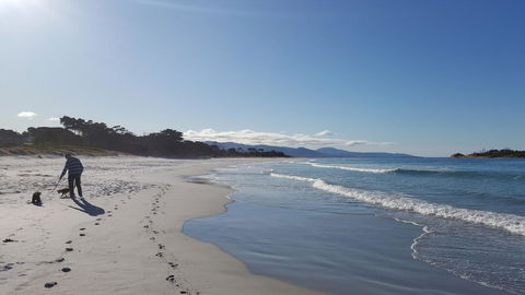 Suntrap Cove Bicheno - Nambucca Heads Accommodation 5