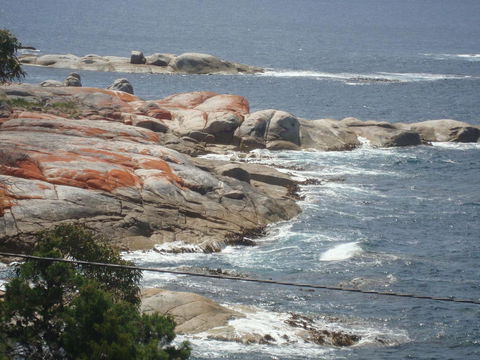 Suntrap Cove Bicheno - Nambucca Heads Accommodation 28