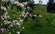 White Croft Cottage - thumb 4