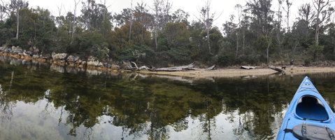 Free Spirit Pods - Nambucca Heads Accommodation 18