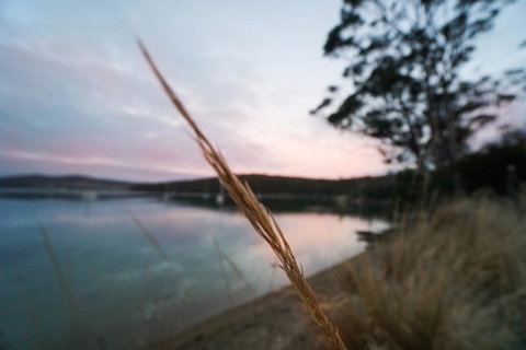 Free Spirit Pods - Nambucca Heads Accommodation 8