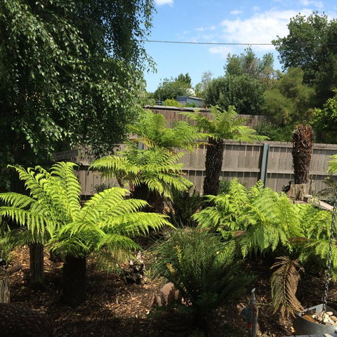 Pinestumps Holiday Home - Nambucca Heads Accommodation 14