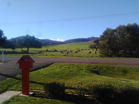 Pinestumps Holiday Home - Nambucca Heads Accommodation 11