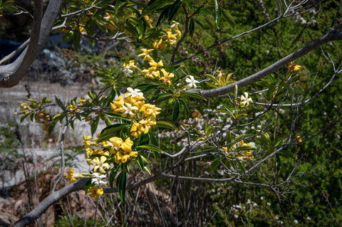 Blu-Sea 365 - Nambucca Heads Accommodation 8