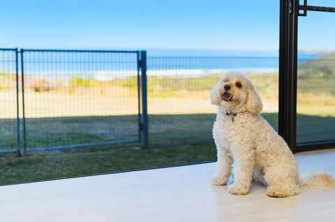 Ocean Paradise - Nambucca Heads Accommodation 2